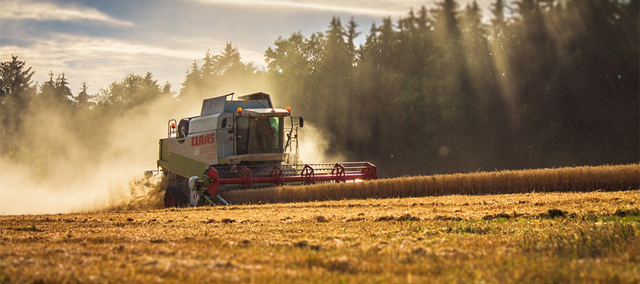 Agriculture