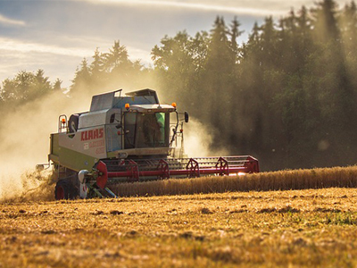 Agriculture